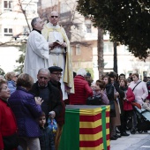 Festividad de San Antonio Abad