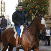 Festividad de San Antonio Abad
