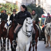 Festividad de San Antonio Abad