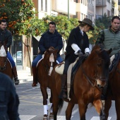 Festividad de San Antonio Abad