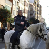Festividad de San Antonio Abad