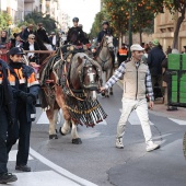 Festividad de San Antonio Abad