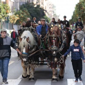 Festividad de San Antonio Abad