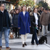 Festividad de San Antonio Abad
