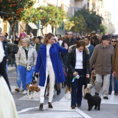 Festividad de San Antonio Abad