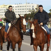 Festividad de San Antonio Abad