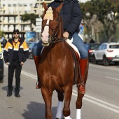 Festividad de San Antonio Abad