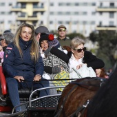 Festividad de San Antonio Abad