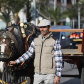 Festividad de San Antonio Abad