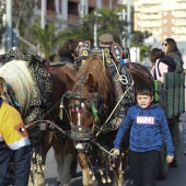 Festividad de San Antonio Abad