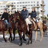 Festividad de San Antonio Abad