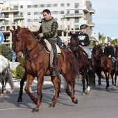 Festividad de San Antonio Abad