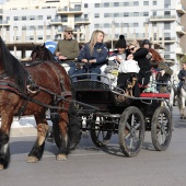 Festividad de San Antonio Abad