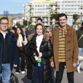Festividad de San Antonio Abad