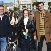 Festividad de San Antonio Abad