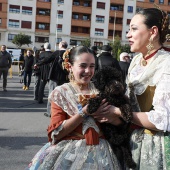 Festividad de San Antonio Abad