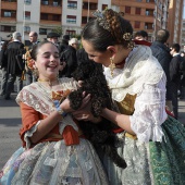 Festividad de San Antonio Abad