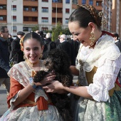 Festividad de San Antonio Abad
