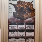 Cartel Feria Taurina