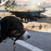 Día de las Paellas