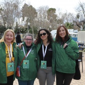 Media Maratón de Castelló
