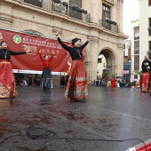 Año nuevo chino