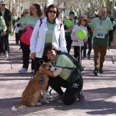 IX Marcha Contra el Cáncer Castellón
