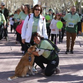 IX Marcha Contra el Cáncer Castellón