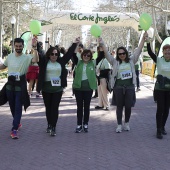 IX Marcha Contra el Cáncer Castellón