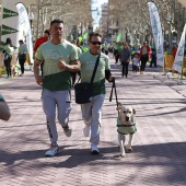IX Marcha Contra el Cáncer Castellón