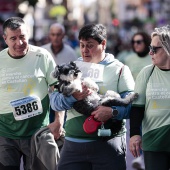 IX Marcha Contra el Cáncer Castellón