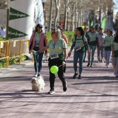 IX Marcha Contra el Cáncer Castellón