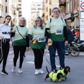 IX Marcha Contra el Cáncer Castellón