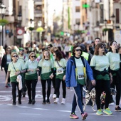 IX Marcha Contra el Cáncer Castellón