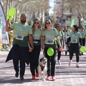 IX Marcha Contra el Cáncer Castellón