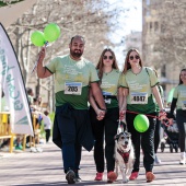 IX Marcha Contra el Cáncer Castellón