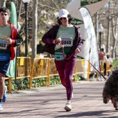 IX Marcha Contra el Cáncer Castellón