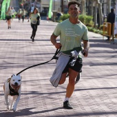IX Marcha Contra el Cáncer Castellón