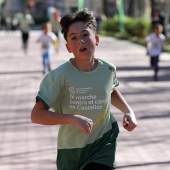 IX Marcha Contra el Cáncer Castellón