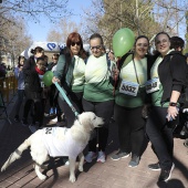 IX Marcha Contra el Cáncer Castellón