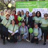 IX Marcha Contra el Cáncer Castellón