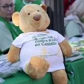 IX Marcha Contra el Cáncer Castellón