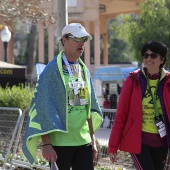 XV Maratón bp Castelló y 10K Facsa Castelló