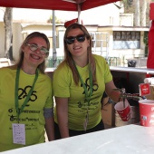 XV Maratón bp Castelló y 10K Facsa Castelló