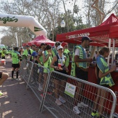 XV Maratón bp Castelló y 10K Facsa Castelló
