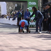 XV Maratón bp Castelló y 10K Facsa Castelló
