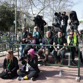 XV Maratón bp Castelló y 10K Facsa Castelló