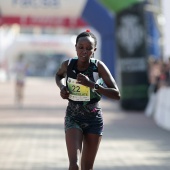 XV Maratón bp Castelló y 10K Facsa Castelló