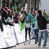 XV Maratón bp Castelló y 10K Facsa Castelló