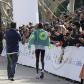 XV Maratón bp Castelló y 10K Facsa Castelló